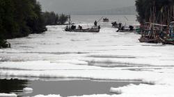 Muara Sungai Diselimuti Busa Putih, Diduga Limbah Mengalir ke Selat Madura