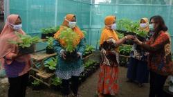 Warga Bambankerep Semarang Menikmati Panen Hasil Urban Farming