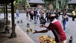 Memotret Beragam Eksotis Pulau Dewata lewat We Love Bali
