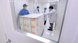 Dirut Bio Farma: Vaksinasi Covid-19 Tahap Awal untuk Usia 18-59 Tahun