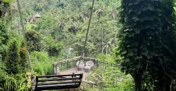 Pesona Desa Swing Bali, Tempat Asri nan Indah Sering Dilirik Wisatawan Mancanegara