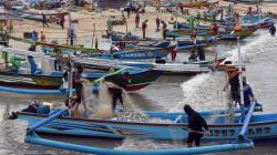 Cuaca Ekstrem, Nelayan Pantai Kedongan Badung Panen Ikan