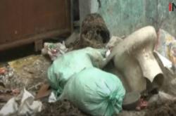 Video Potongan Kepala Korban Mutilasi di Bekasi Ditemukan Samping Sekolah
