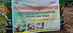 Hari Perkebunan Nasional, Jateng Ekspor 30 Ton Porang ke Vietnam 