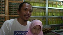 Berkat Ikan Cupang, Pria Ini Bisa Ekspor hingga Eropa: Ada yang Harganya Rp15 Juta per Ekor<