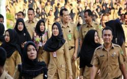 Seleksi CPNS 2021, Kebutuhan Lebih Besar 3 Formasi Jadi Prioritas