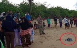 Penemuan Mayat Bayi di Tepi Pantai Guntung Bangka Tengah Hebohkan Warga 