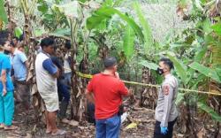 Pemuda Tewas Tersengat Listrik Jebakan Babi, Pemilik Kebun Jagung jadi Tersangka<