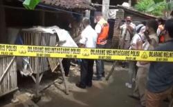 Keji! Ibu Muda di Ponorogo Bunuh Bayi lalu Buang Jasad di Kandang Ayam