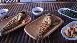 Video Ikan Patin Makin Digemari di Masa Pandemi Covid-19
