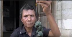 Petani di Pekalongan Temukan Ribuan Koin Kuno saat Mencangkul di Sawah