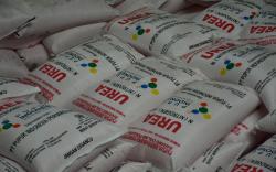 Distribusi Pupuk Masih Jadi Permasalahan, Ini Sejumlah Faktor Penyebabnya<