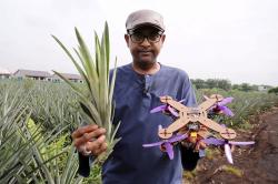Keren! Ilmuwan Malaysia Ubah Daun Nanas Jadi Kerangka Drone