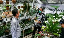 Penggemar Tanaman Hias Naik saat Pandemi, Pemkot Bogor Gelar Pameran<