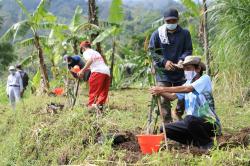 Selamatkan Rawapening, 17.000  Bibit Pohon Ditanam di Hulu Sungai Parat