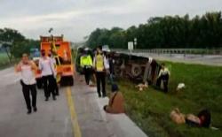 Video Kecelakaan Maut di Tol Cipali, 4 Orang Tewas