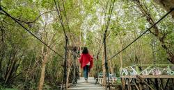 Wisata Mangrove ala Sandiaga Uno, Dibuat Kekinian dan Bisa Jadi Konten TikTok