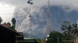 Gunung Semeru Meletus, BNPB : Status Masih Waspada