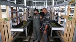 Dukung Ketahanan Pangan Nasional, Puspenerbal Buka Lahan Peternakan Kambing