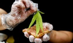 Diduga Bawa Ganja, Mantan Suami Artis Terkenal Diringkus Polisi di Purwakarta<