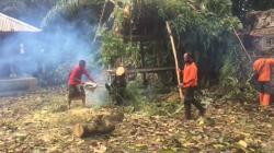 Pohon Kepuh Setinggi 15 Meter Tumbang Menimpa Bangunan Pura di Gianyar