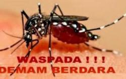 Warga OKU Diimbau Waspadai Penyakit DBD<