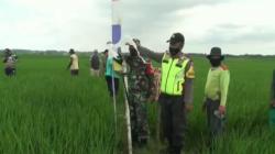 Angin Berputar dari Dalam Tanah di Subang Diduga Semburan Gas