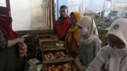 Harga Telur Ayam Turun di Pasar Kajen Pekalongan, Omzet Pedagang Naik 