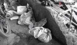 Video Viral Penjagalan Kucing di Medan, Polisi Gerebek Rumah Pelaku