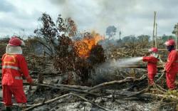 Lahan Gambut di Muba Terbakar, Petugas dalami Dugaan Kesengajaan 
