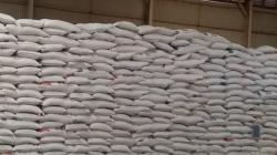 Jaga Kestabilan Harga Kebutuhan Pangan, Bulog Meulaboh Serap 500 Ton Beras Medium  