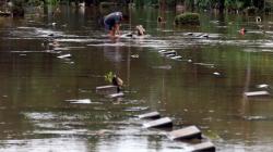 Memancing Ikan Mas di TPU Jeruk Purut yang Terendam Banjir