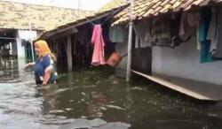 Enggan Mengungsi, Korban Banjir di Pekalongan Mulai Kesulitan Makanan  