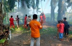 Kebun Sawit di Agam Terbakar Diduga akibat Cuaca Panas