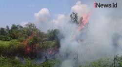 Video 6 Hektare Lahan Gambut Terbakar di Agam Sumbar