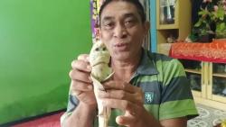Geger Bayi Hiu Berwajah Mirip Manusia di Rote Ndao, BBKSDA: Masih Bentuk Janin