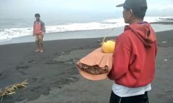 Siswa SMP di Jember Hilang Terseret Ombak usai Bermain Sepak Bola 