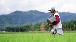 Akademisi Undip Sebut KUR Permudah Petani dalam Permodalan