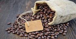 Bukan Luwak, Ternyata Ini Kopi Paling Langka dan Mahal di Dunia