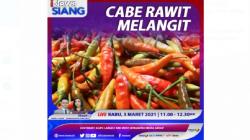 Cabai Rawit Melangit, Simak Selengkapnya di iNews Siang Rabu Pukul 11.00 WIB<