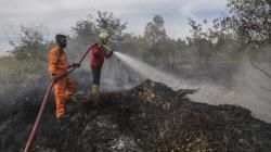 Kebakaran Lahan di Batam akibat Warga Membakar Sampah 