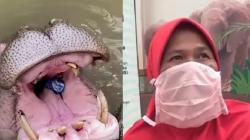 Masukkan Sampah Plastik ke Mulut Kuda Nil, Warga Bandung Terancam 3 Bulan Penjara