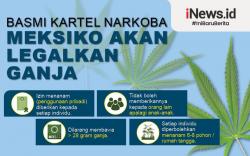 Infografis Meksiko Bakal Legalkan Ganja