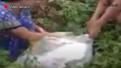 Video Bocah Hilang 2 Hari Ditemukan dalam Karung di Kolaka Sultra
