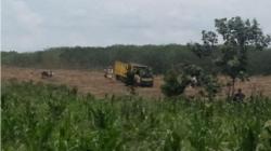Oknum Pejabat Diduga Sewakan Lahan Aset Milik Pemkab Simalungun Seluas 200 Hektare