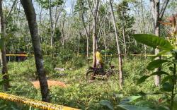 Petani di Prabumulih Tewas Tergantung di Pohon Karet
