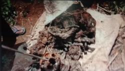 Dapat Petunjuk Gaib, Warga Sukabumi Temukan Tulang Manusia Korban Pembunuhan