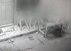 Video Viral Geng Motor Bersenjata Tajam di Jakbar Rampas Ponsel Bocah