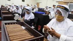 Melihat Produksi 4.000 Batang Cerutu, Siap Ekspor ke Benua Amerika dan Eropa