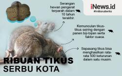 Miris, Mata Istri Petani Buta Akibat Digigit Tikus